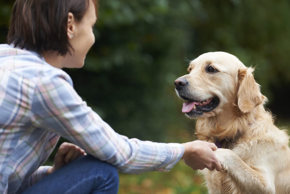 Ces techniques pour communiquer avec votre chien renforceront vos liens à coup sûre