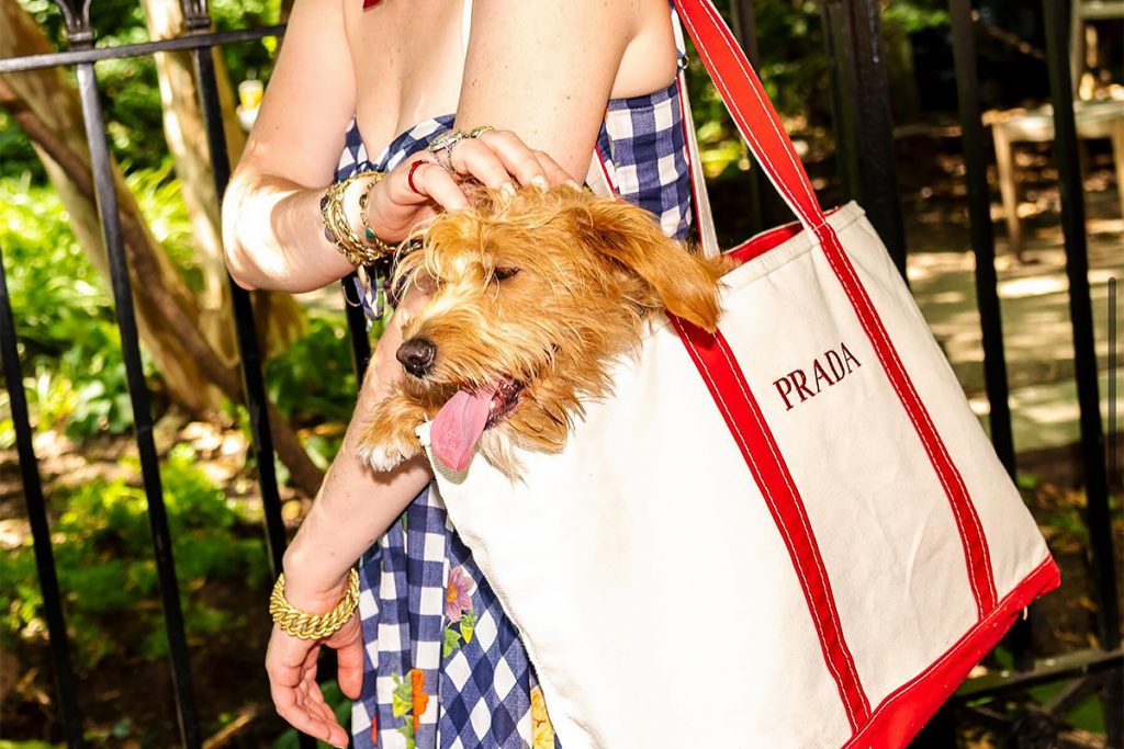 Adopter les Boat & Tote pour un look preppy