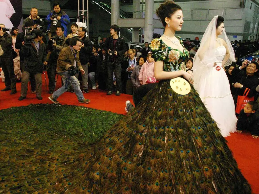 Robe Paon de Vera Wang