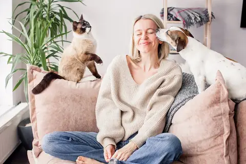 L’art d’être un bon maître en quelques astuces essentielles