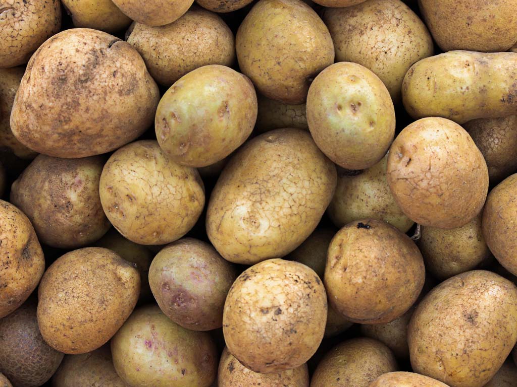 Les pommes de terre sont riches en vitamine C et potassium