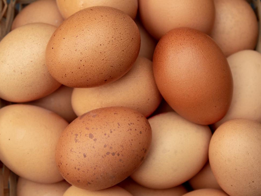 Les œufs sont riche en protéines