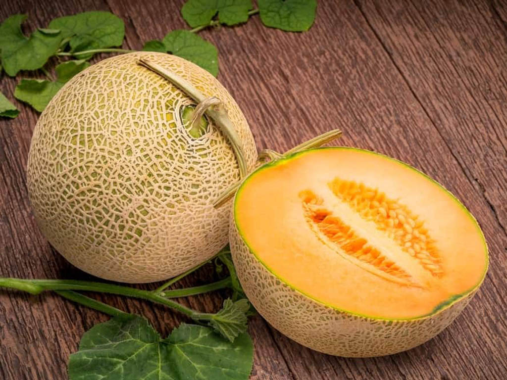 melons Yubari